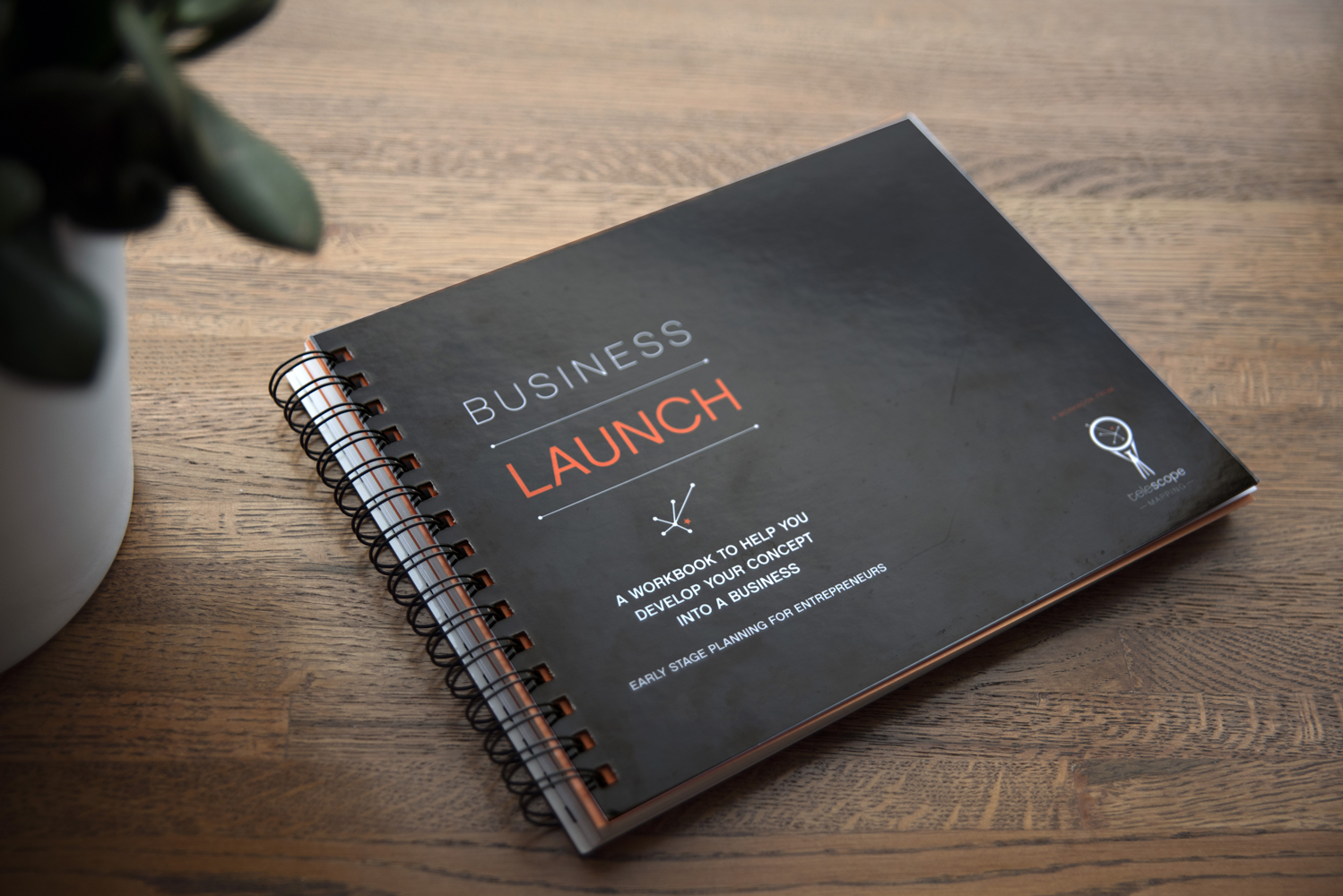 Business Launch Workbook